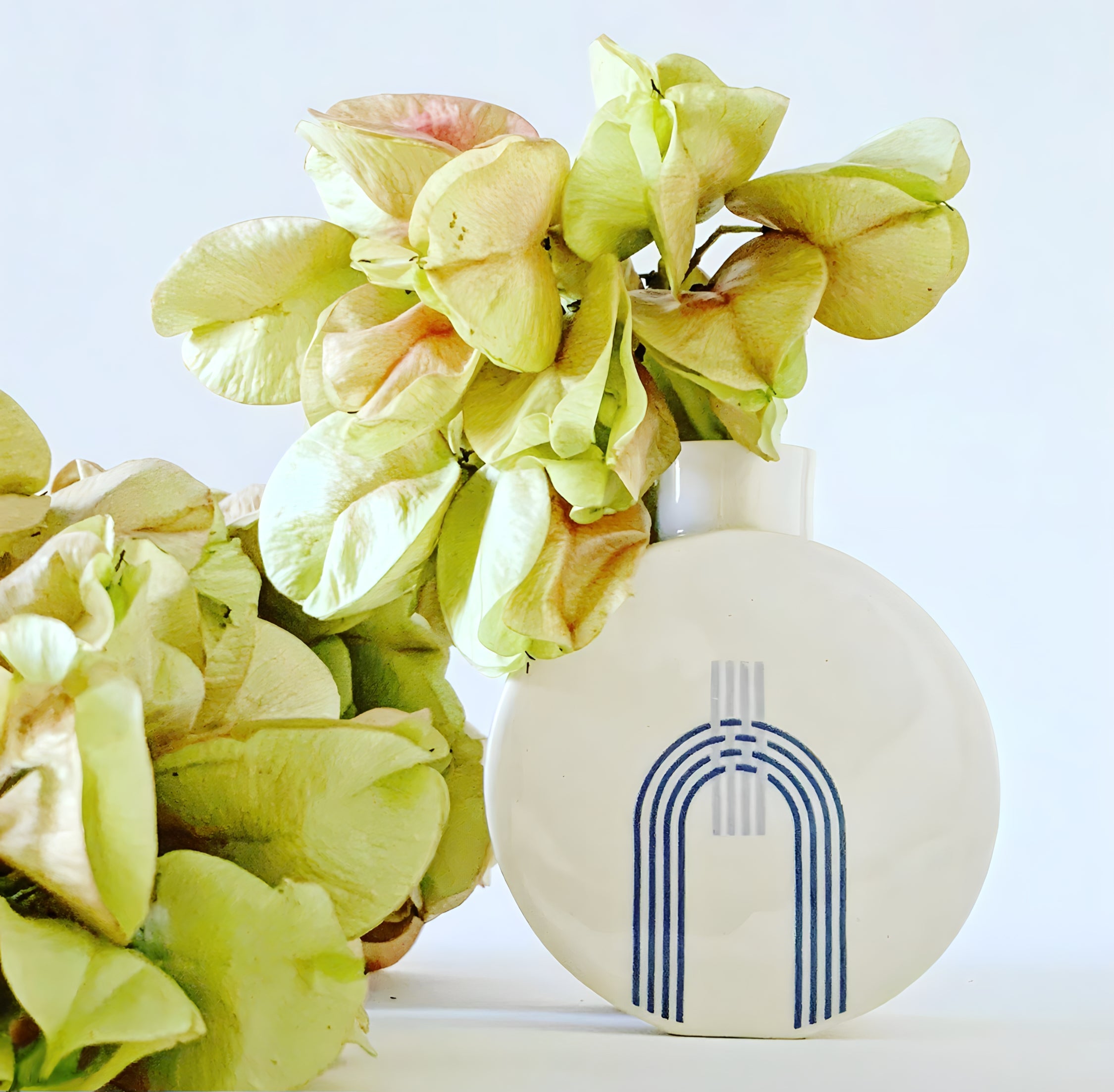 Looking Bud Vase